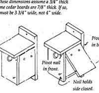 Tree Swallow and Bluebird Nest Box