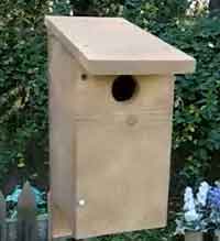VIDEO How To Build A Bird House 