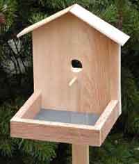 Bird Feeder Plans