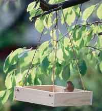 Tray Bird Feeder