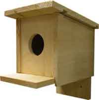 Birdhouse plans