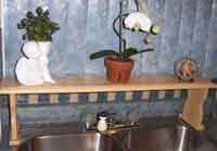 Sink Shelf