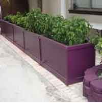 Planter Box