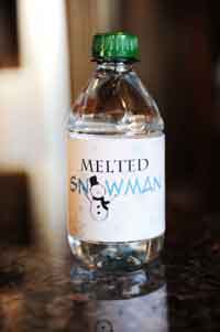 Melted Snowman Water Bottle