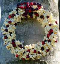 Popcorn Cranberry Wreath for the Birds